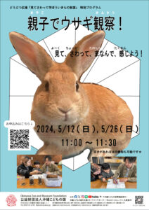 どうぶつ広場「見てさわって学ぼういきもの教室」特別ワークショップ『親子でウサギを観察をしてみよう』